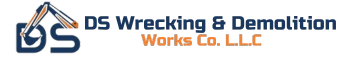 DS Demolition Logo